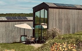 Scandi Micro House